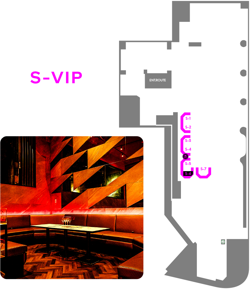 V-VIP