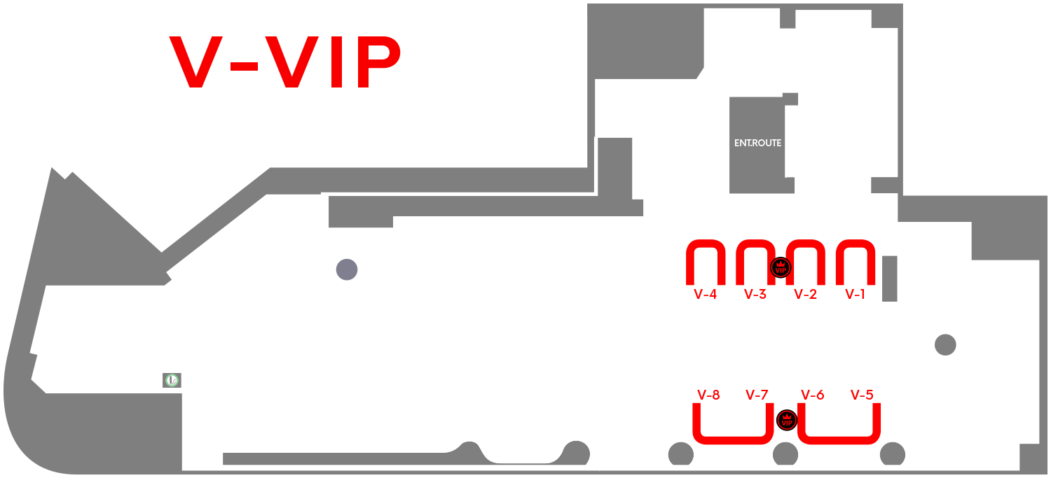 V-VIP